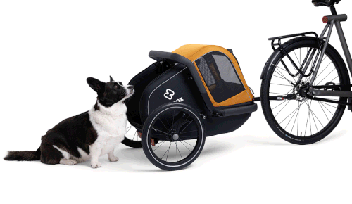 Remorque vélo pour chien Milou S Hamax